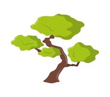 decoración de bonsai de árbol vector