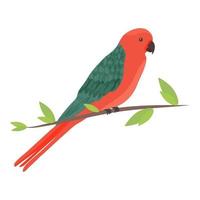 Cartoon Australian king parrot, Alisterus scapularis, in a flat style. vector