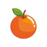 Isolated orange fruit vector