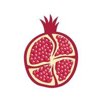 half pomegranate fruit vector