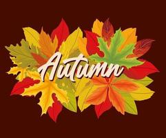 tarjeta de hojas de otoño vector