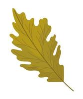 autumn leaf design vector