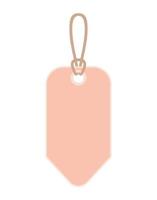 salmon color tag vector