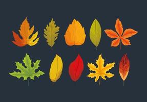 ten autumn leaves vector