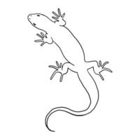 reptil lagarto. silueta de contorno. elemento de diseño. ilustración vectorial aislado sobre fondo blanco. plantilla para libros, pegatinas, carteles, tarjetas, ropa. vector