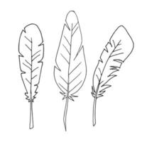 Set of feathers. Isolated feathers on a white background. Outline illustration. Vector. Flat illustration. Three feathers. vector