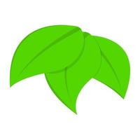 Trendy Leaves Concepts vector