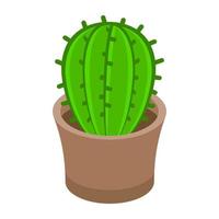 conceptos de cactus de moda vector