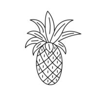 Pineapple tropical fruit. vector