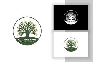 oak tree vector illustration logo design template. Abstract vibrant tree logo designs