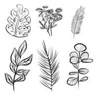 Set with different plants vector