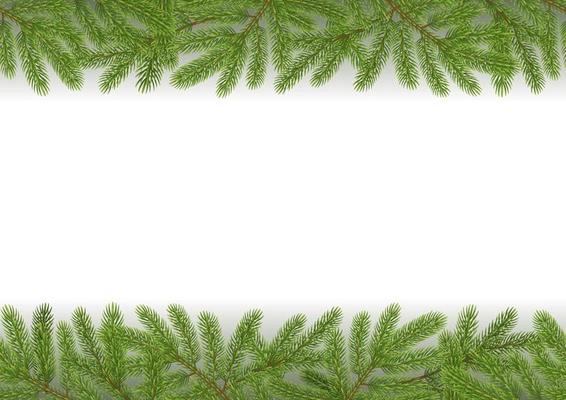 christmas seamless border with pine branches