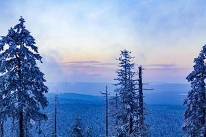 Sunset forest landscape panorama icy fir trees Brocken mountain Germany. photo