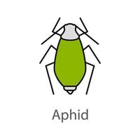 Aphid color icon. Insect pest. Plant lice. Isolated vector illustration