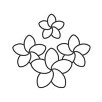 Spa salon plumeria flowers linear icon. Thin line illustration. Aromatherapy contour symbol. Vector isolated outline drawing