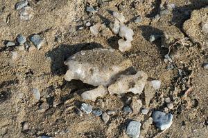 Natural background with chunks of ice in the sand photo