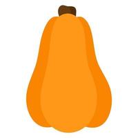 Halloween Jack-o-lantern butternut squash orange pumpkin. vector