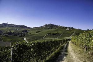 landscapes of the Piedmontese Langhe,  the colors of the vineyards in autumn, during the grape harvest photo