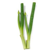 Green onions isolated on a white background
