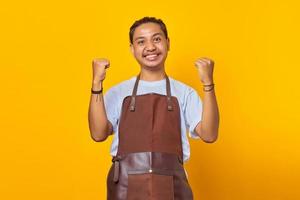 Portrait of excited Asian youth wearing apron celebrating success with raised hands on yellow background photo
