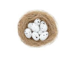 Easter white spotted eggs in bird's nest isolated on white photo