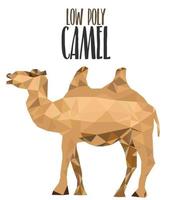 low poly model animal with desert camel vector illustration