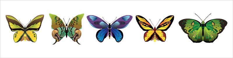 conjunto de mariposas vectoriales de colores realistas. vector