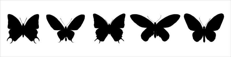 Butterfly black silhouettes vector