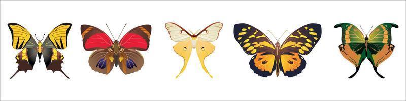eslogan libre para volar con flores de colores en forma de media mariposa ilustración