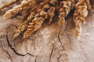 Bouquet of field dried grass on a wooden background. Rustic vintage hipster style. View from above photo