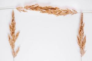 Dry grass on a white background. Greeting card concept, place for text. View from above photo