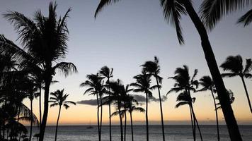 hermosa puesta de sol en la isla grande, costa de kohala, waikoloa, hawai