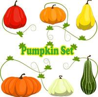 various pumpkin set icon by vector