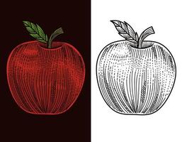 Vector apple with engraving style