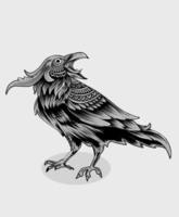 Illustration vector crow bird on white background