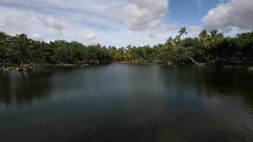 étang à poissons dans le parc historique de kalahuipuaa sur la grande île d'hawaï, l'un des trois plus grands points d'alimentation du monde video