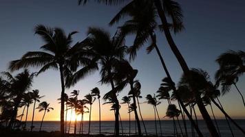 Beautiful sunset on the Big Island, Kohala Coast, Waikoloa, HAWAII video