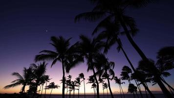 Beautiful sunset on the Big Island, Kohala Coast, Waikoloa, HAWAII video