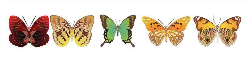 conjunto de coloridas mariposas de dibujos animados en blanco. vector