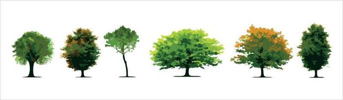 Cartoon trees set isolated on a white background. vector