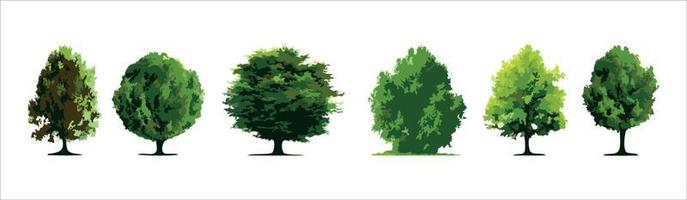 Collection Realistic Trees Isolated on White Background. vector