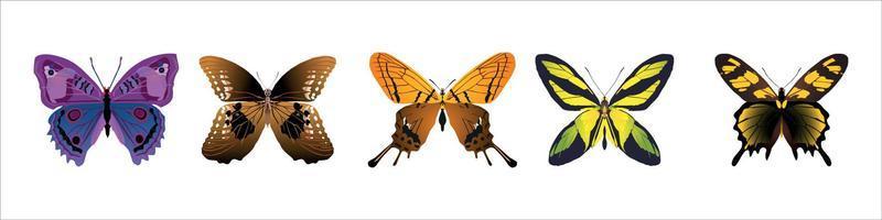 gran colección de coloridas mariposas. vector