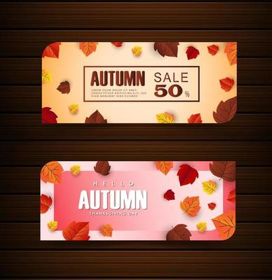 maple leaf, autumn banner vector background
