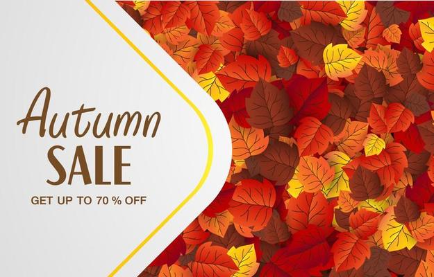 maple leaf, autumn banner vector background