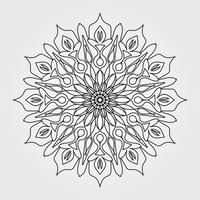 Circular pattern mandala art decoration elements vector