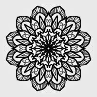 Circular pattern mandala art decoration elements vector