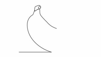 continuous lines banana fruit one line abstract video