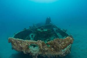 Coral reef and water plants in the Red Sea, Eilat Israel photo