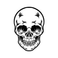 Skull Mascot Silhouette vector