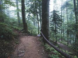 Forest trail in Caucasus mountains photo